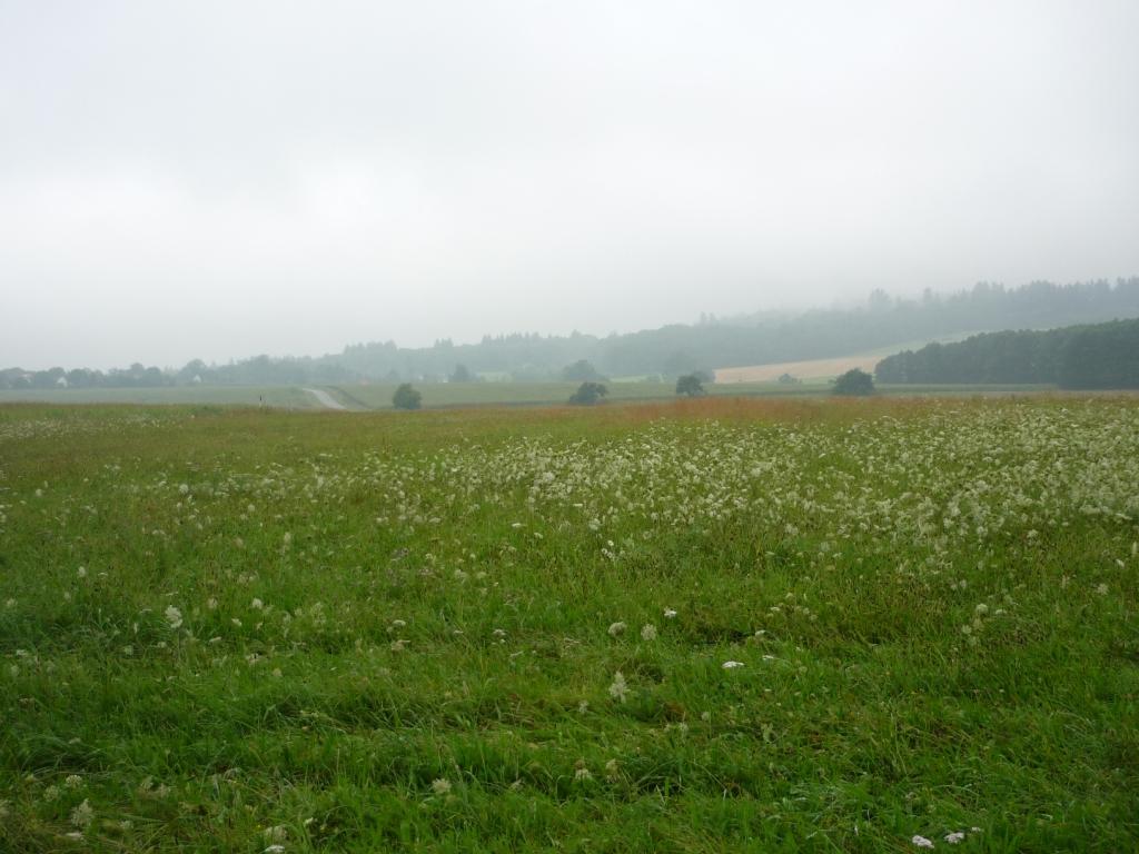 P1020565