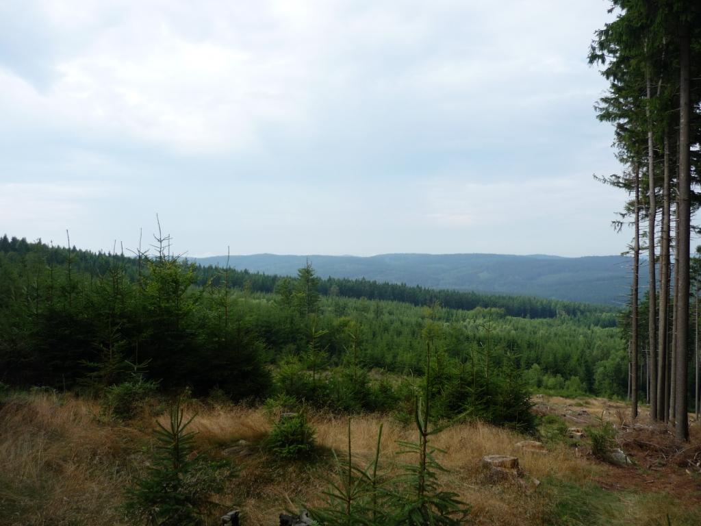 P1020615
