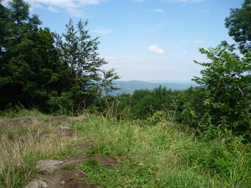 P1020619
