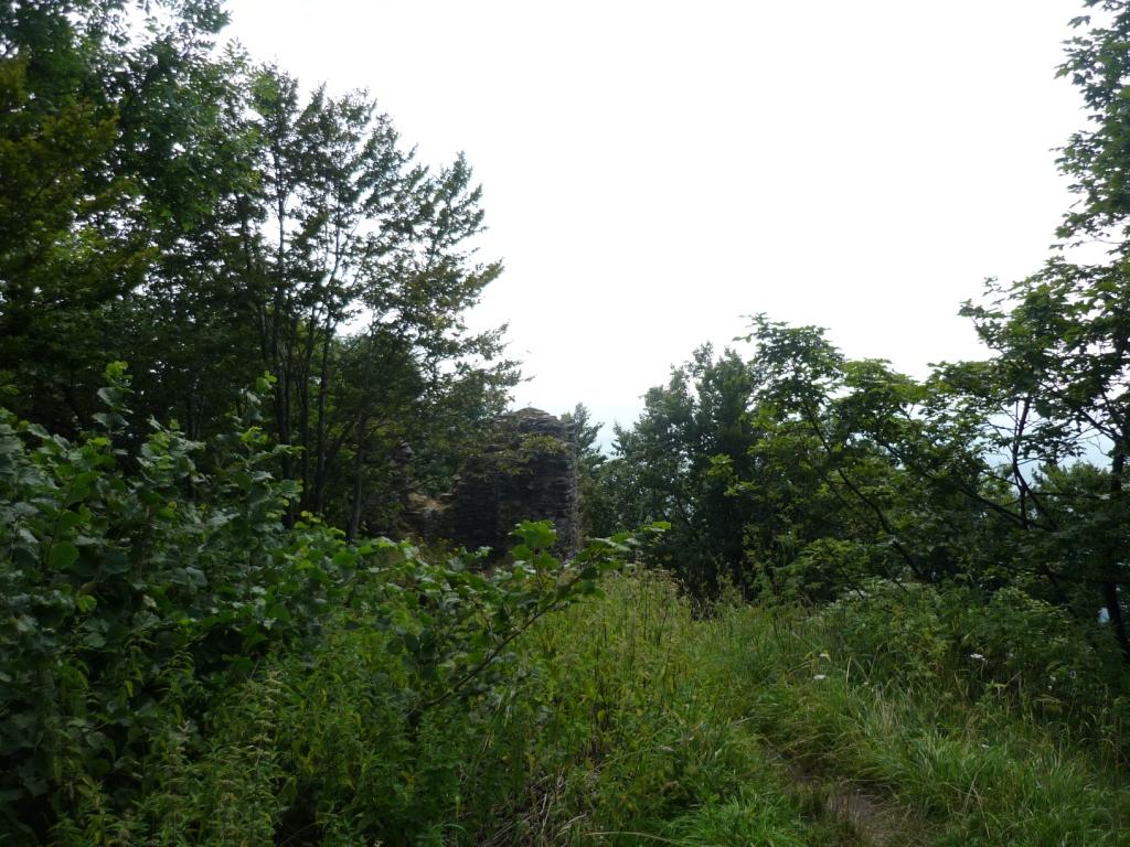 P1020624