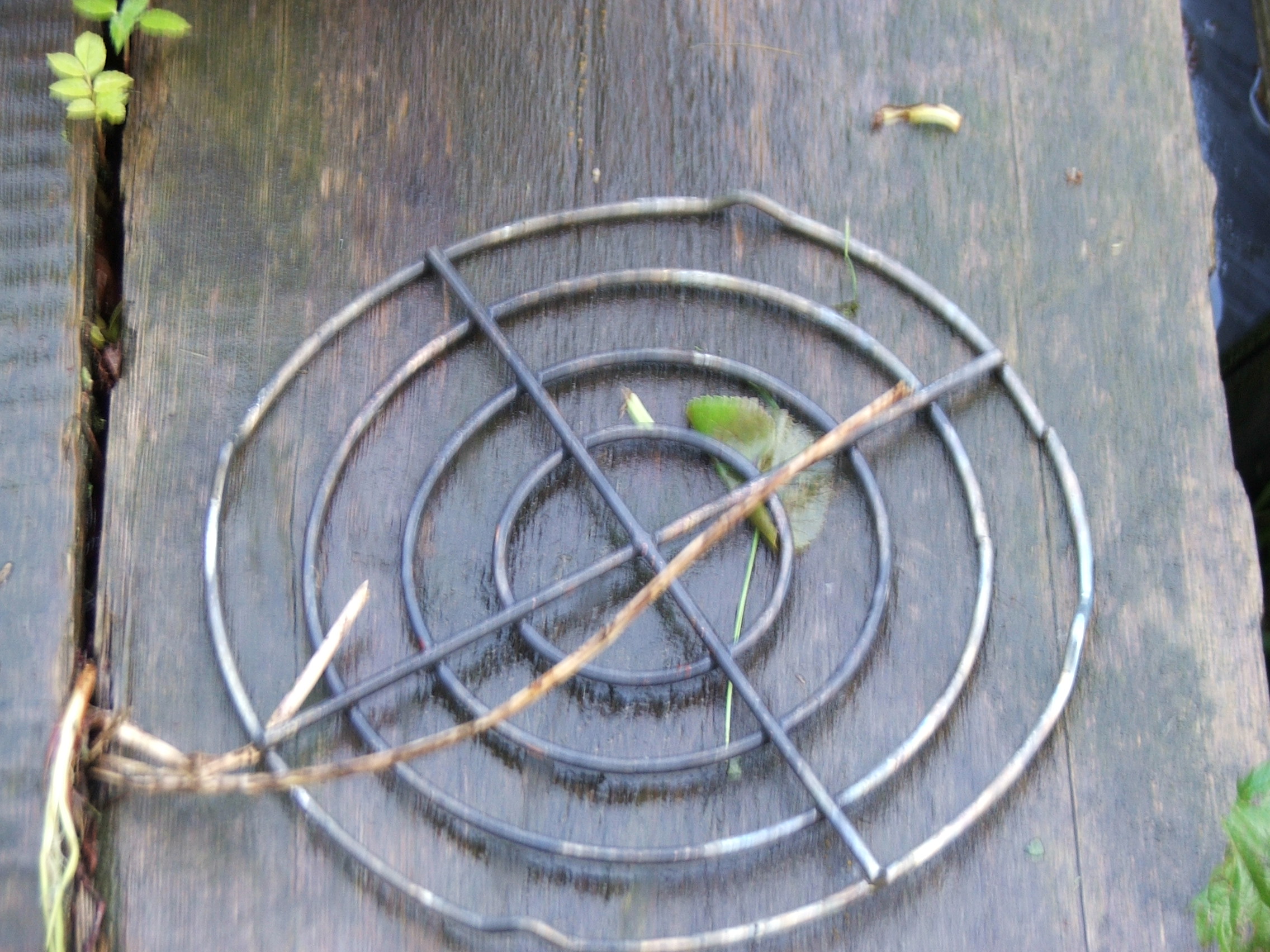 DSCF2649.JPG